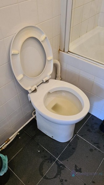  verstopping toilet Haarlem